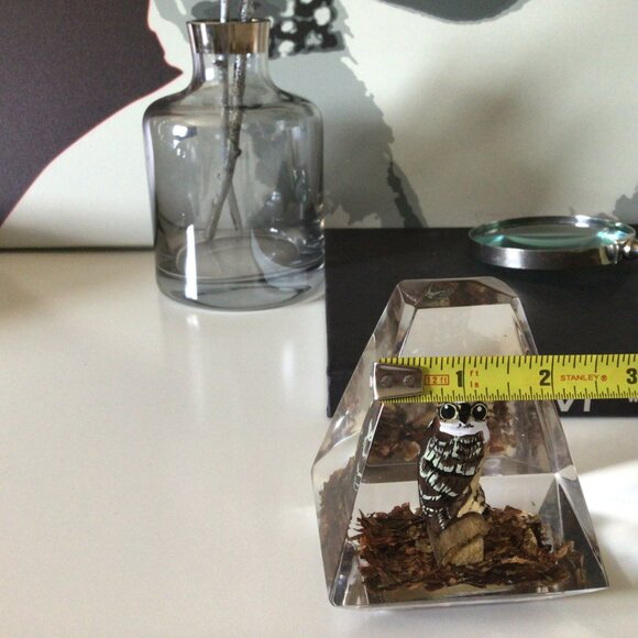 Lucite Pyramid Paperweight Hand Carved Painted Great Horned Owl MCM Mid-century - Picture 10 of 10